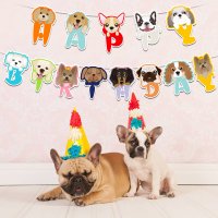 PS082 - Happy birthday pet party decoration